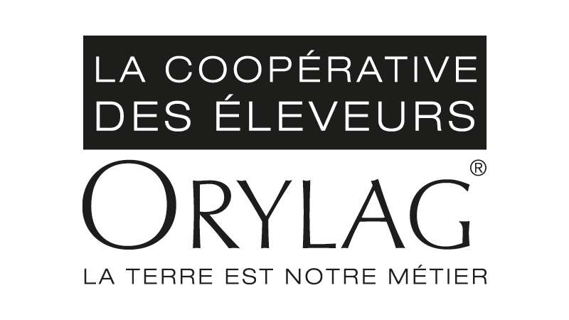 Agence communication Aliénor Consultants Orylag logo miniature
